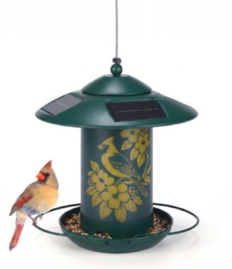 solar bird feeder