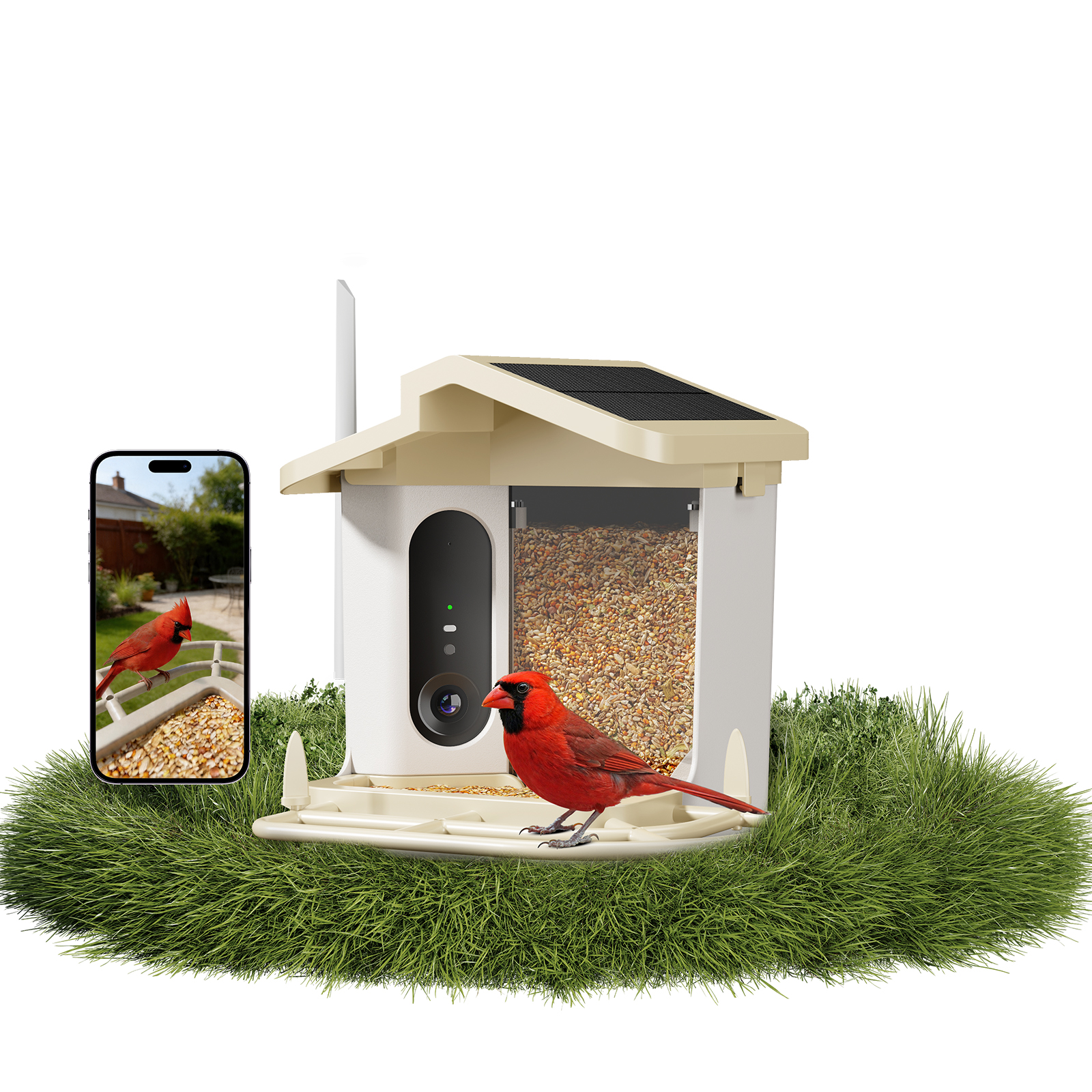 smart bird feeder - Image 2