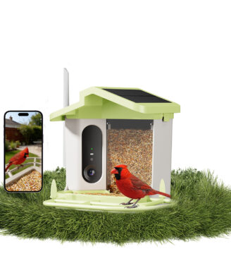 smart bird feeder