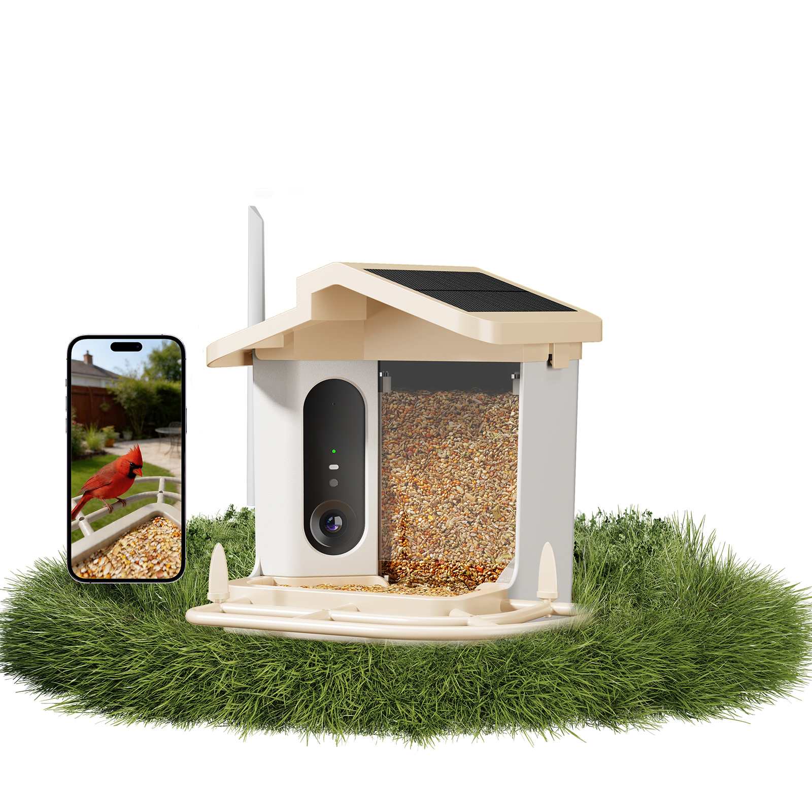 Smart Solar Bird Feeder Smart Solar Bird Feeder