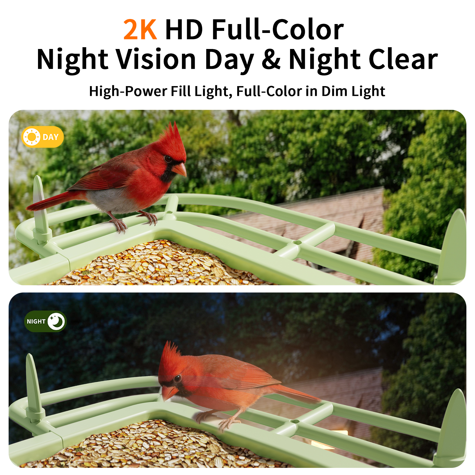 smart bird feeder - Image 12